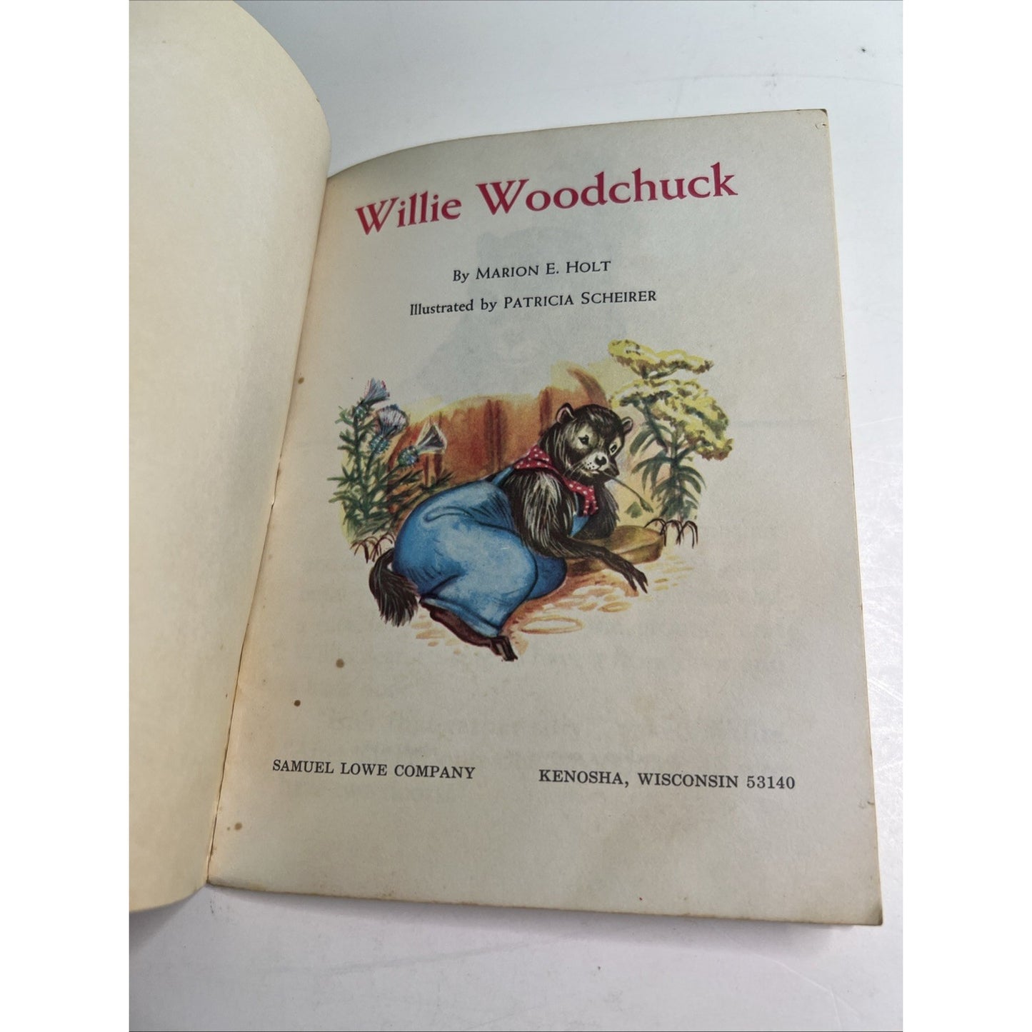 Willie Woodchuck Vintage 1968 Sunny Book by Marion E. Holt PB