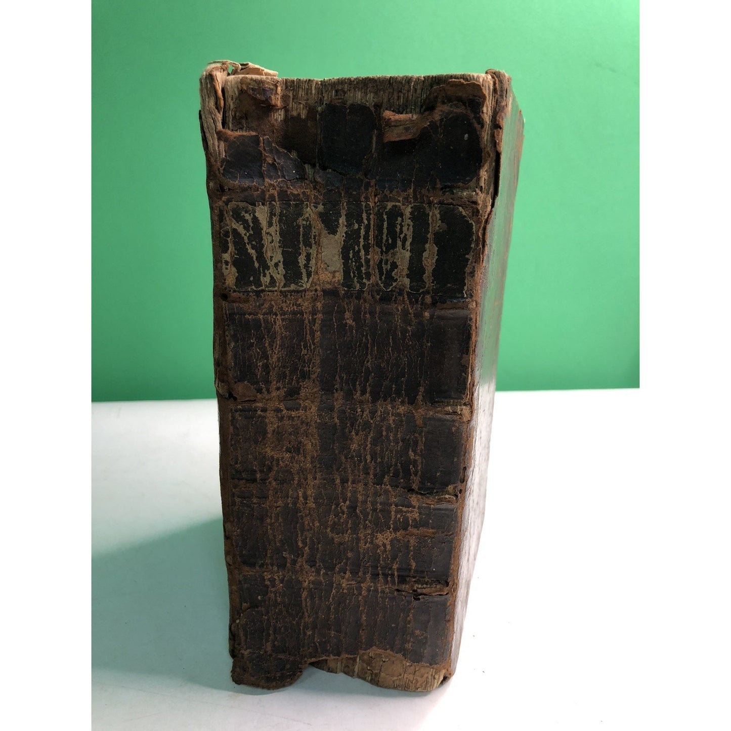 1797 German Translation of D. Martin Luther Bible Holy Scripture