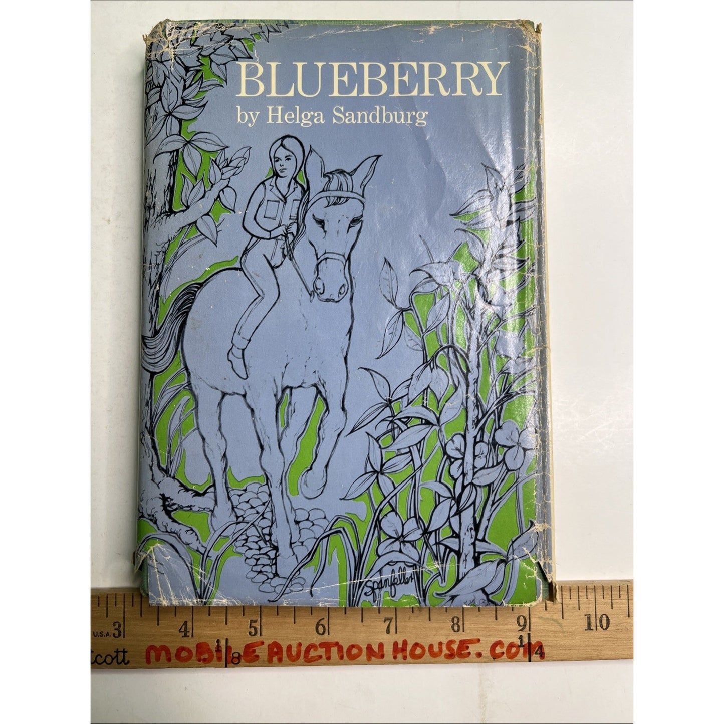 Blueberry by Helga Sandburg 1963 Hardcover With Dust Jacket