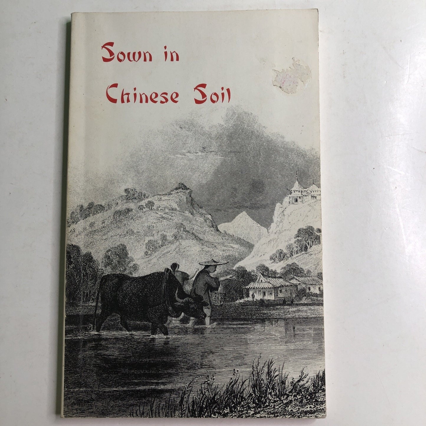 Sown in Chinese Soil: Life of Francoise Teilhard de Chardin Sr. Marie Alberic du