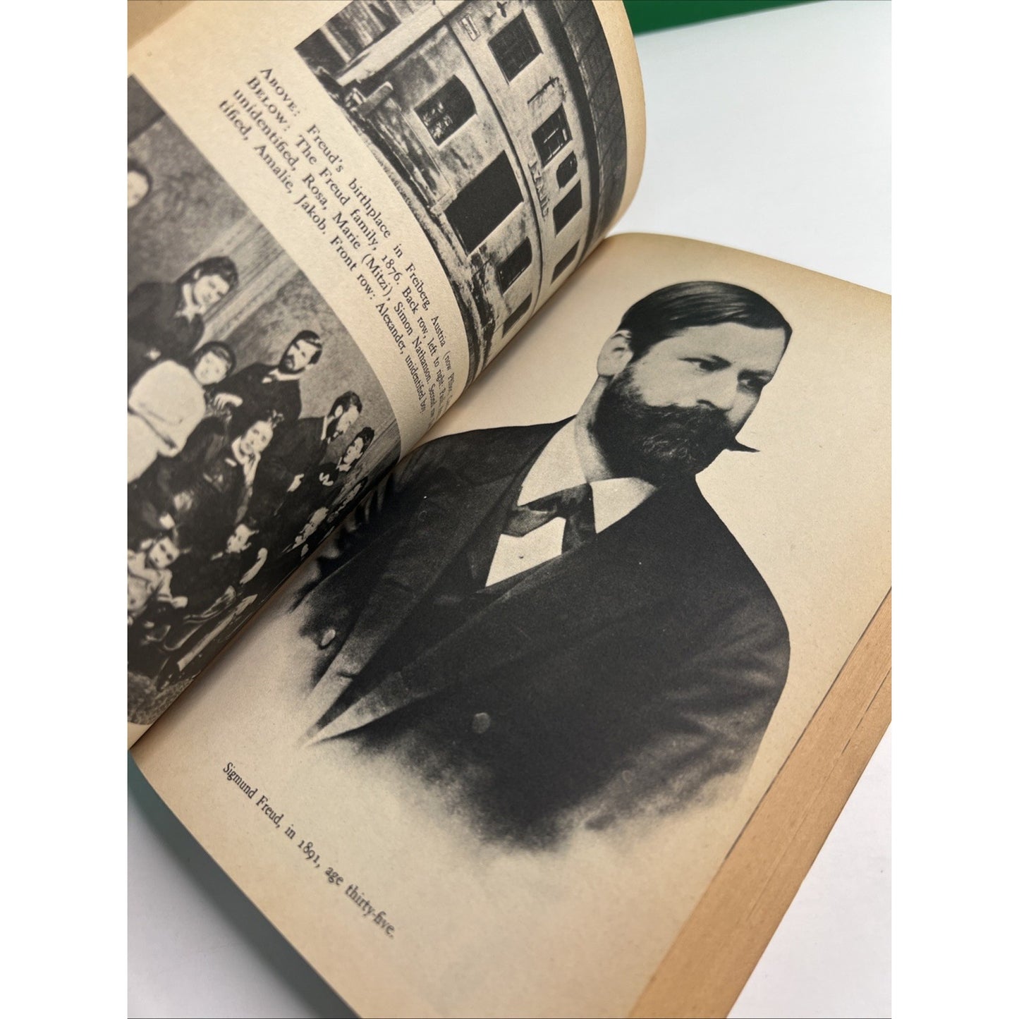 The Life and Work of Sigmund Freud by Ernest Jones Paperback 1961 Illustrated.
