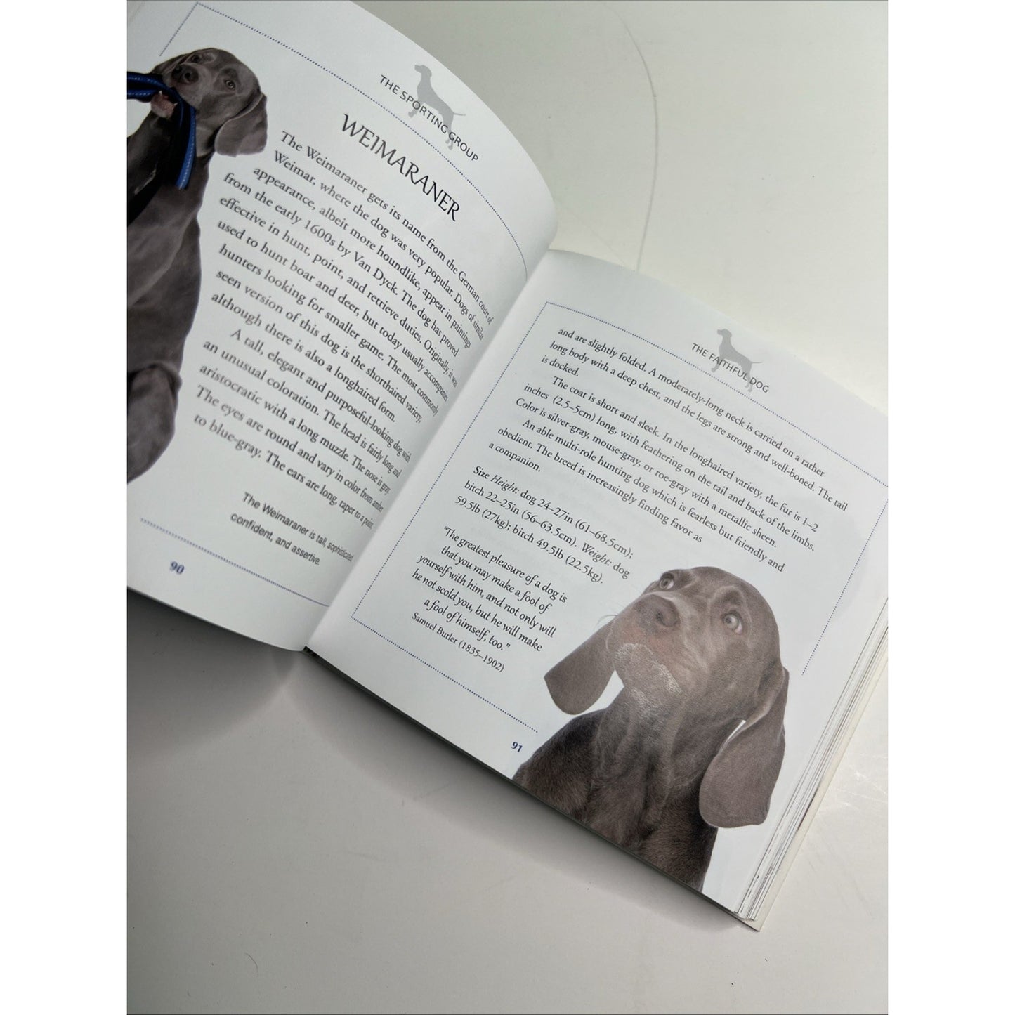 The Faithful Dog: Facts and Breed Information About Our Canine Friends 2016 PB