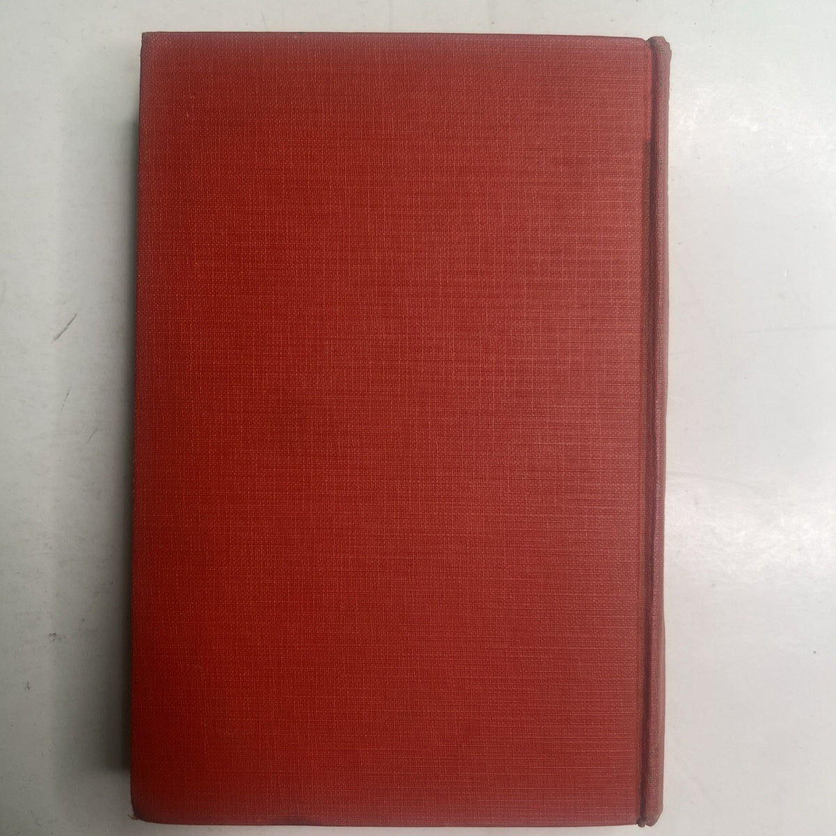 BUDDY at PINE BEACH Howard R. Garis Cupples & Leon 1931 Hard Cover Illustrated