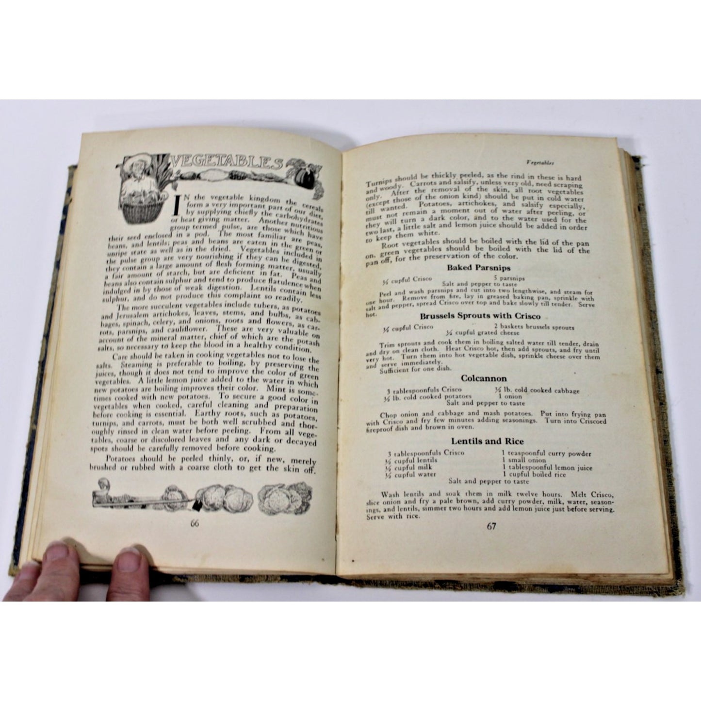 1925 A Calendar of Dinners- Marion Harris Neil- 615 Recipes, Crisco 24th Ed.
