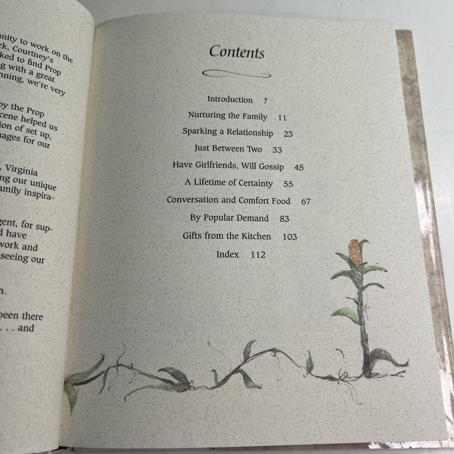 Recipes of Madison County by Jane M. Hemminger and Courtney A. Work 1995 HC DJ