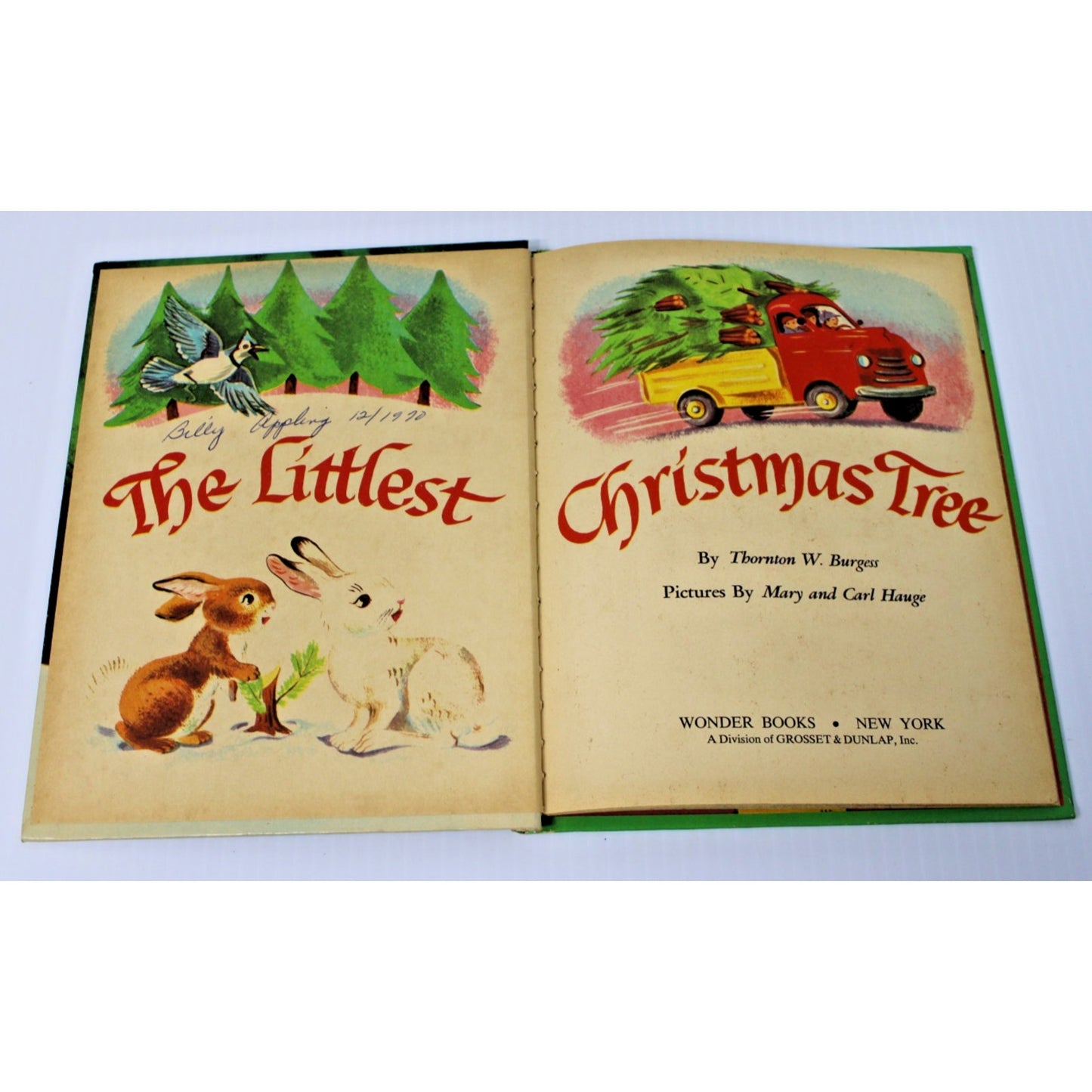 Vintage 1954 The Littlest Christmas Tree- Thornton W. Burgess, Mary & Carl Hauge