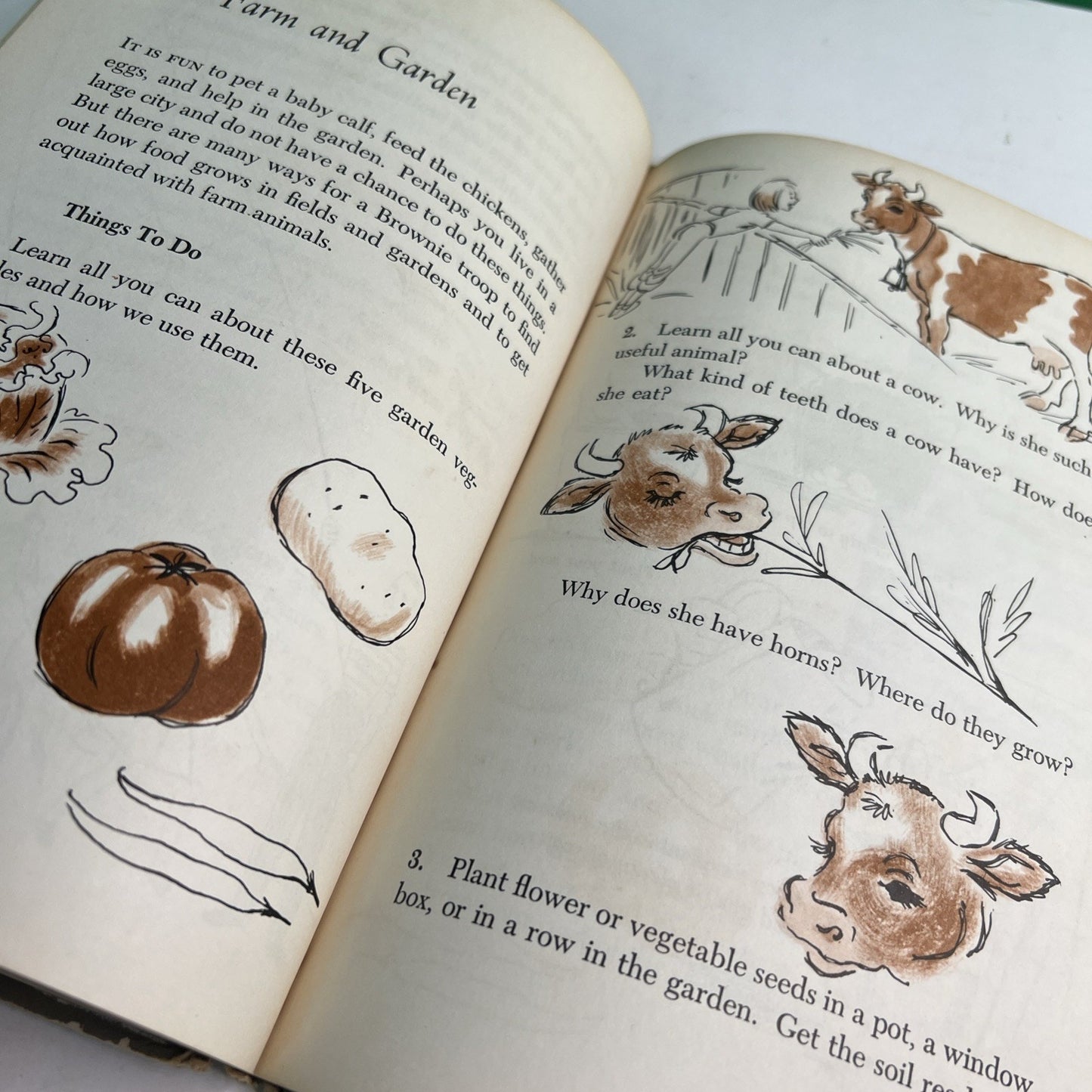 1951/1954 HC Brownie Girl Scout Handbook by Ray Mitchell Illustrated Ruth Wood