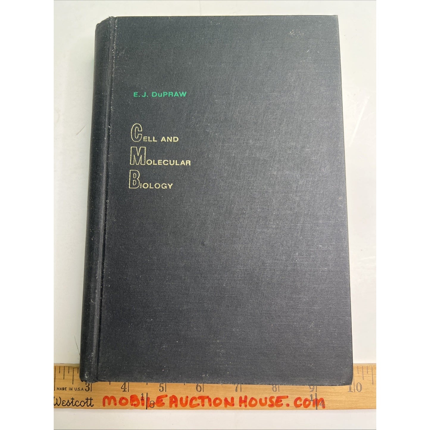 Cell And Molecular Biology By Ernest J. DuPraw 1968 Hardcover
