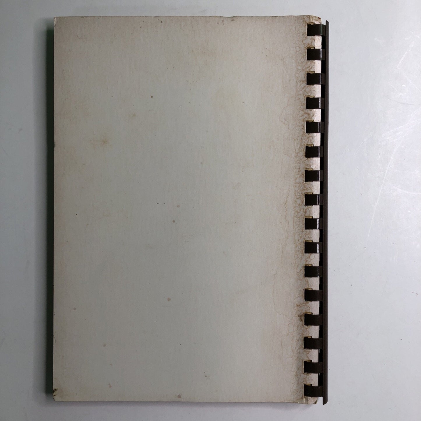 1985 Alabama Extension Home Makers Council Cookbook Chambers County AL