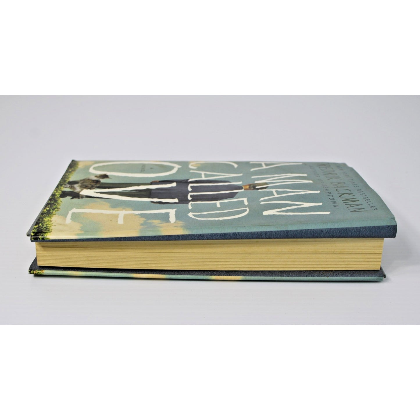 A Man Called Ove: A Novel- Fredrik Backman, 2014 HC/ DJ