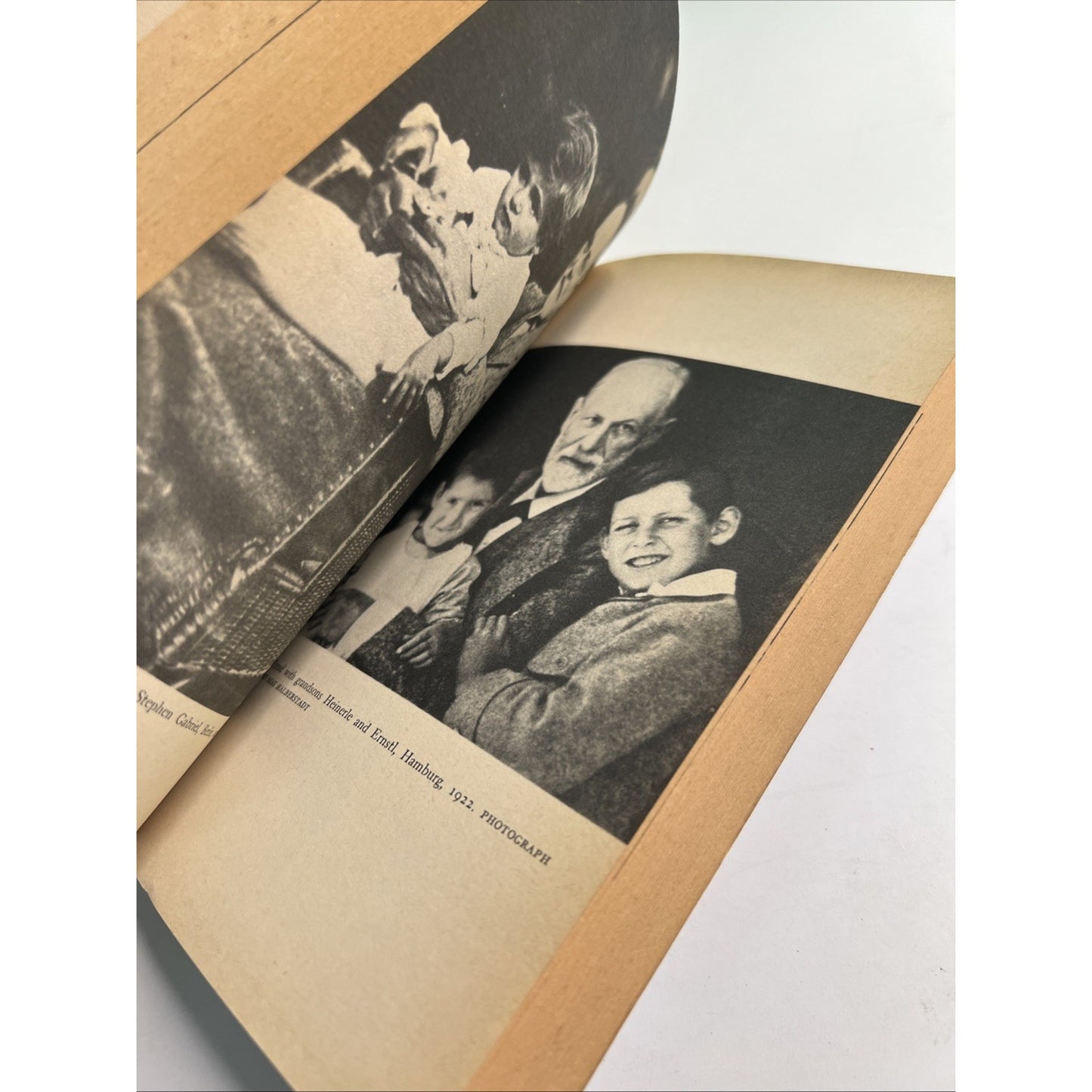 The Life and Work of Sigmund Freud by Ernest Jones Paperback 1961 Illustrated.