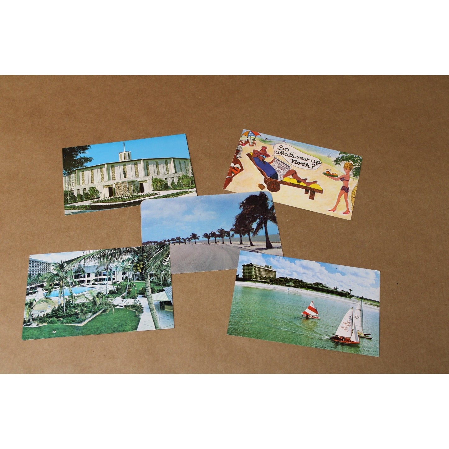 5 Vintage Florida Travel Postcards, Mid-Century Miami, Winter Park- Lot 3