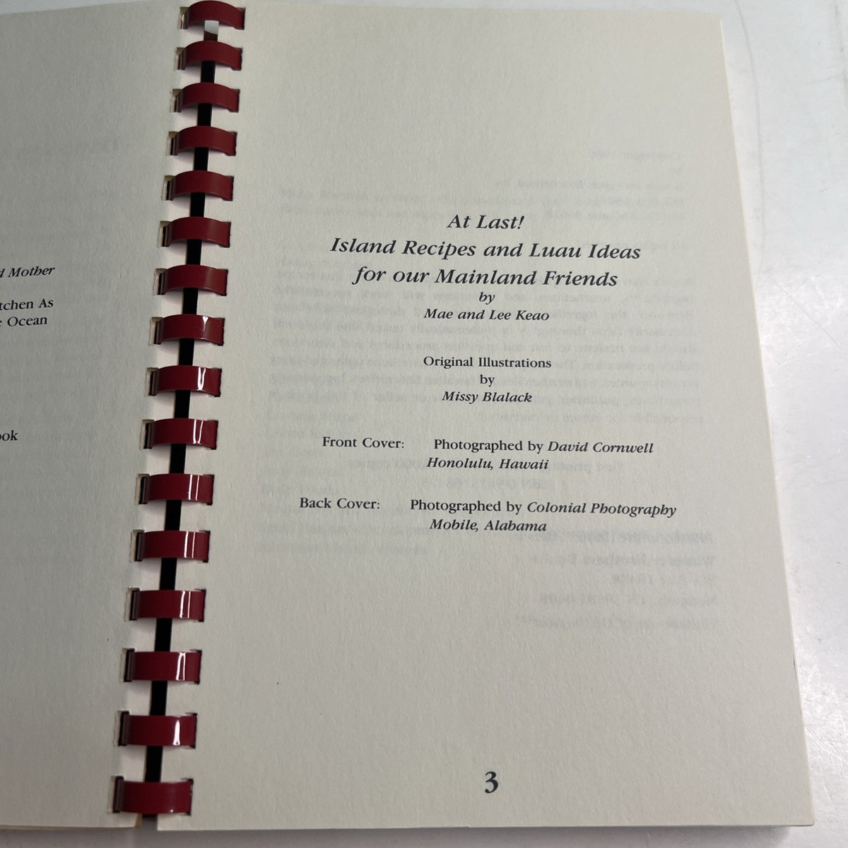 Hawaiian Magic: At Last! Island Recipes and Luau Ideas 1986 Cookbook Mobile AL