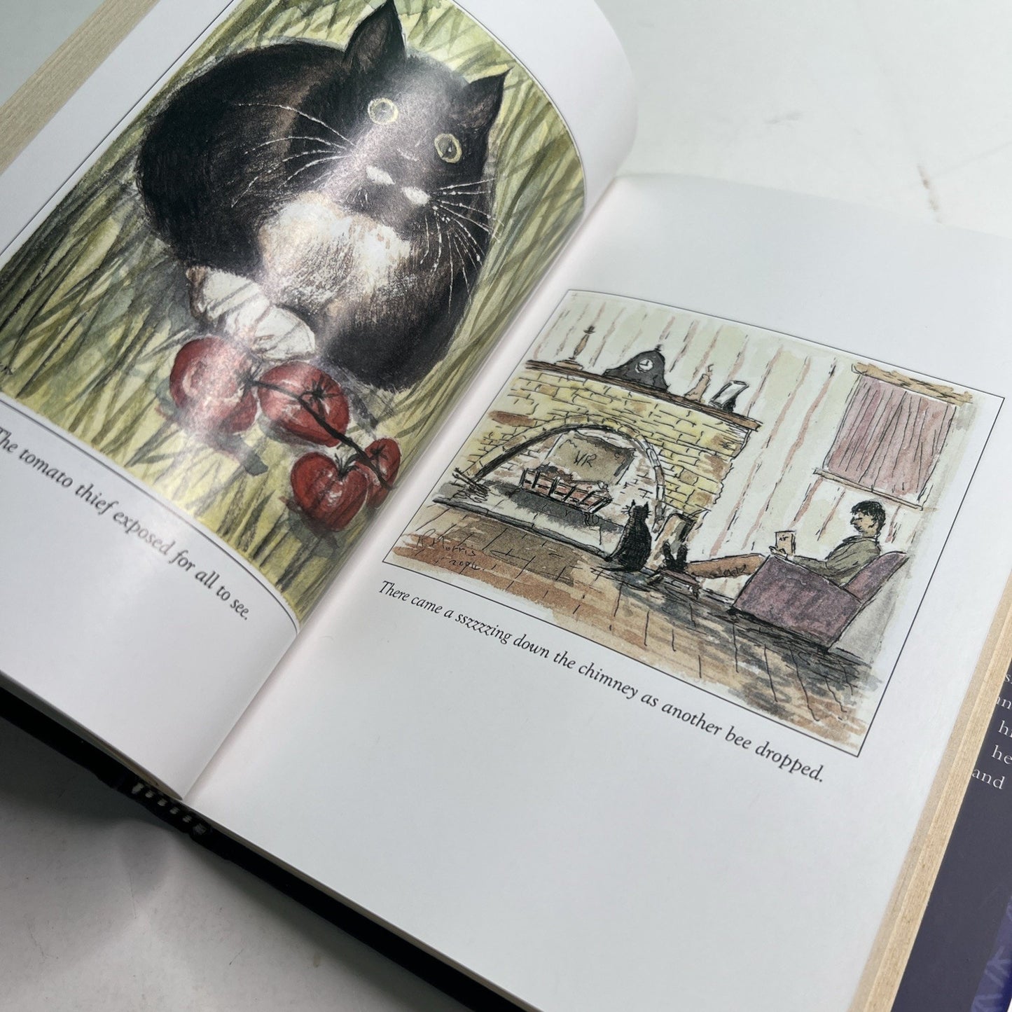 Paw Prints in the Moonlight: The Heartwarming True Story of One Man and his Cat