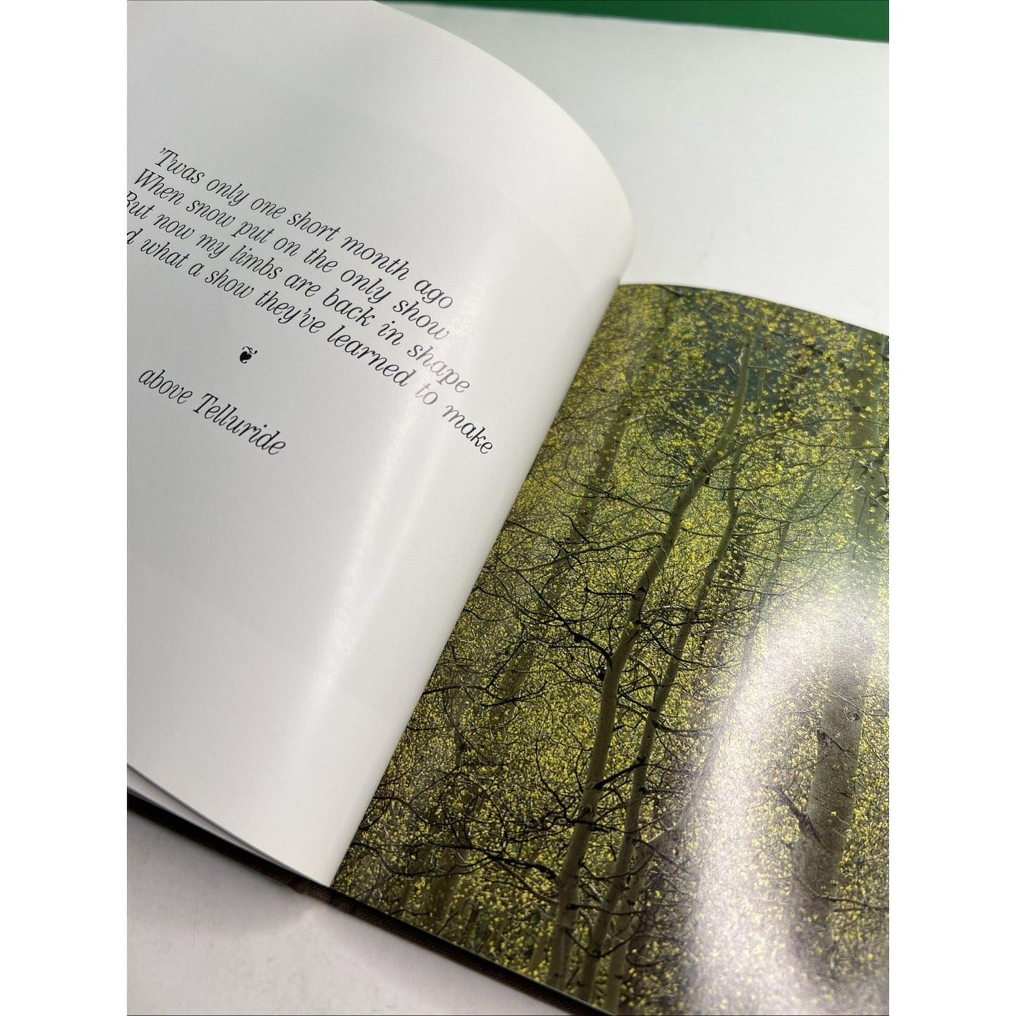 Colorado Aspens Photography and Words by John Fielder HC DJ 1984