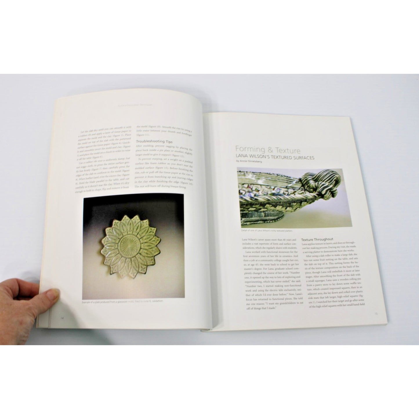 Surface Decoration Techniques: Ceramic Arts Handbook, American Ceramic Society