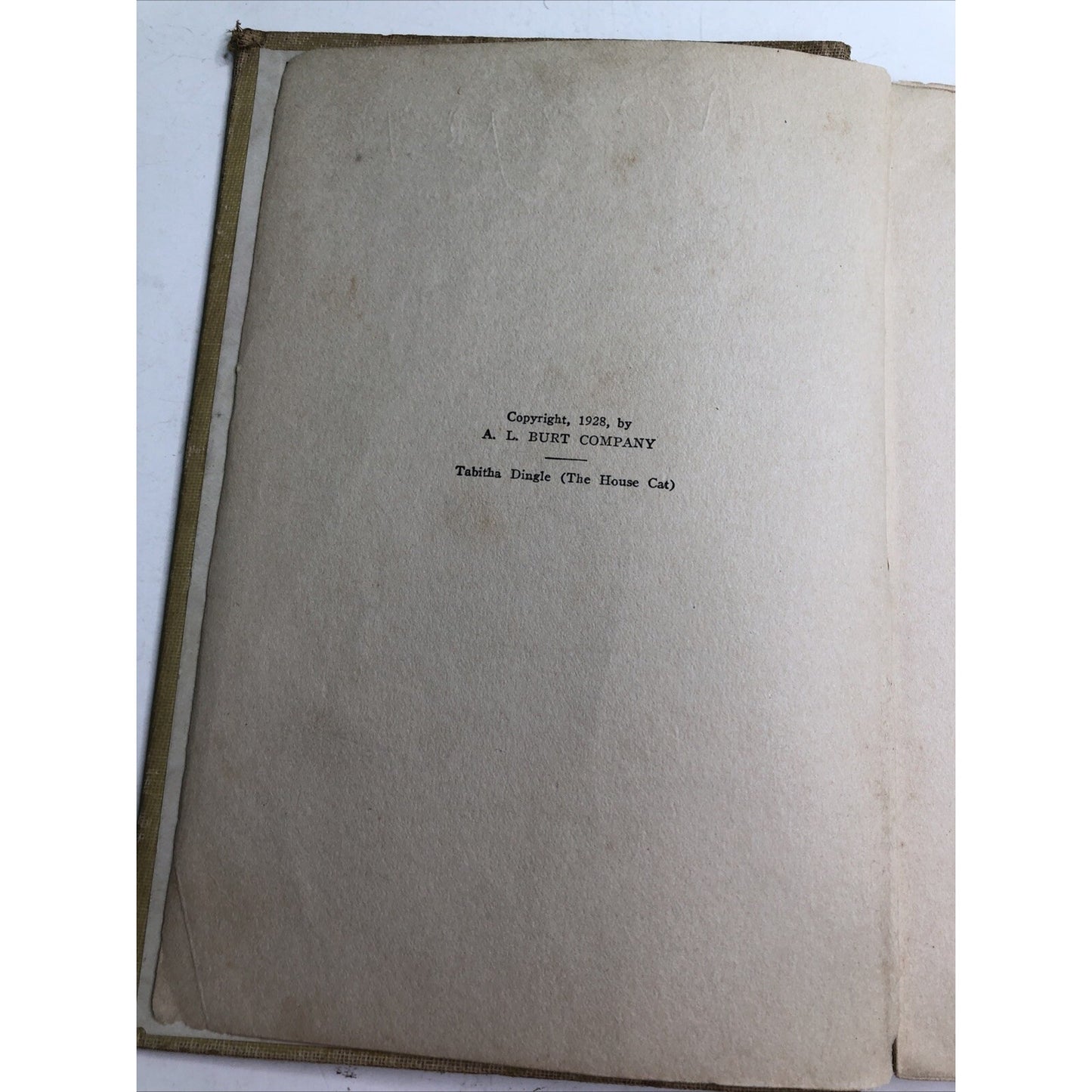 Tabitha Dingle by Elsie M. Alexander 1928 Illustrated FREE SHIPPING