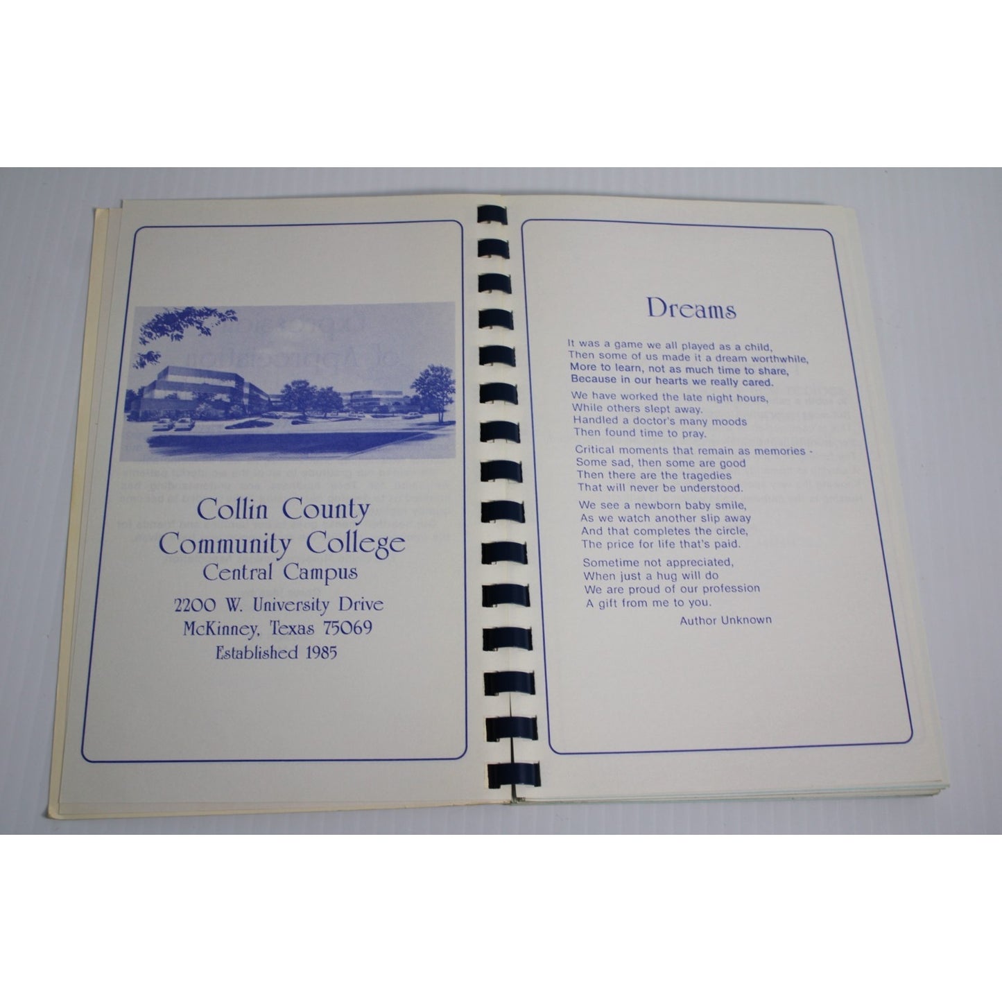 Vintage 1992 Prescriptions For the Pallet Collin County Texas Nursing Cookbook