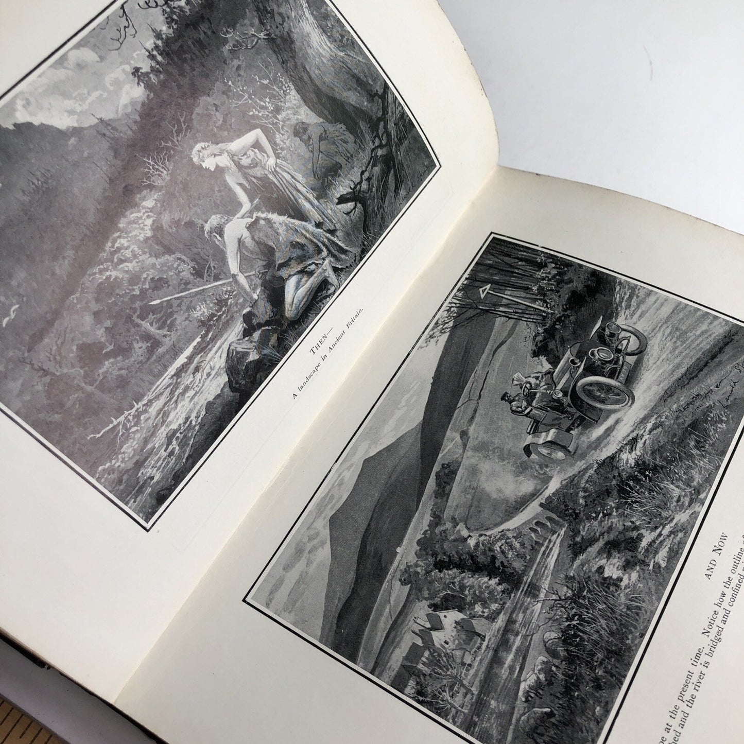 1910 1st Edition Romance of Plant Life By G. F. Scott Elliot HC Illustrated