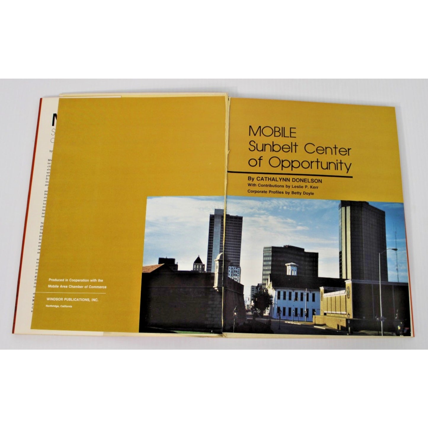 MOBILE: Sunbelt Center Of Opportunity- Cathalynn Donelson, Alabama, 1986 HC/DJ