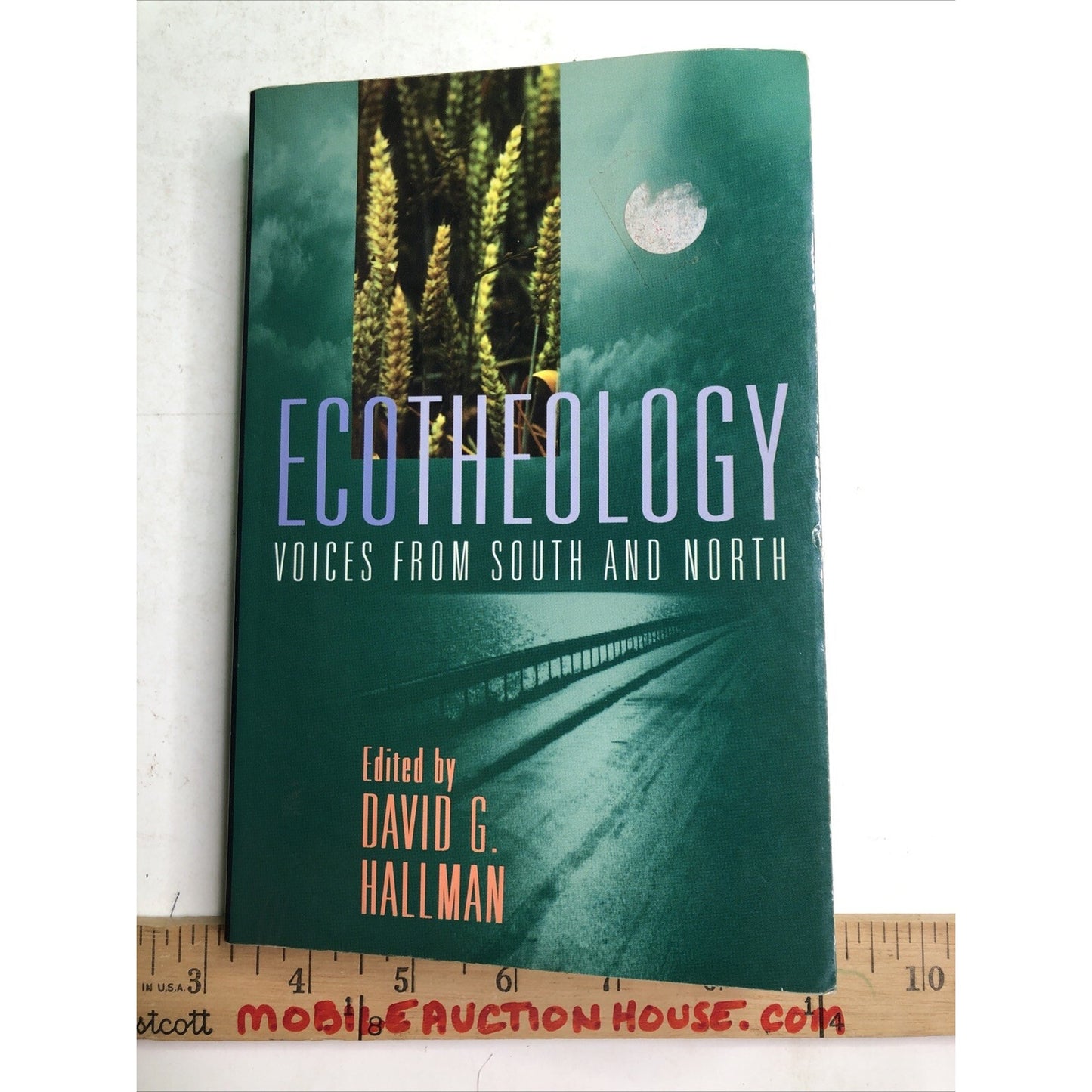 Ecotheology Voices from South and North PB By Hallman, David 2nd Printing 1995