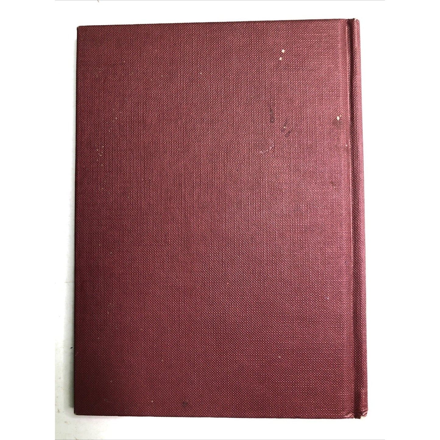 Lesley Anne Ivory's Christmas Cats 1991 First American Edition Hardcover