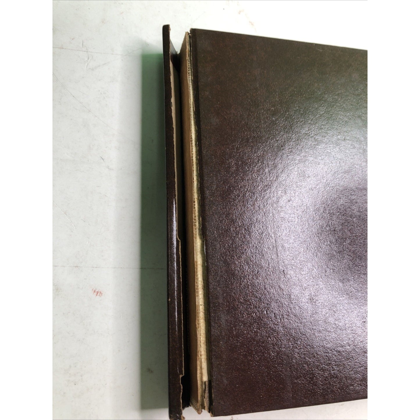 Teacher Education In America By Merle L. Borrowman Classics #24 1966 Spine Issue