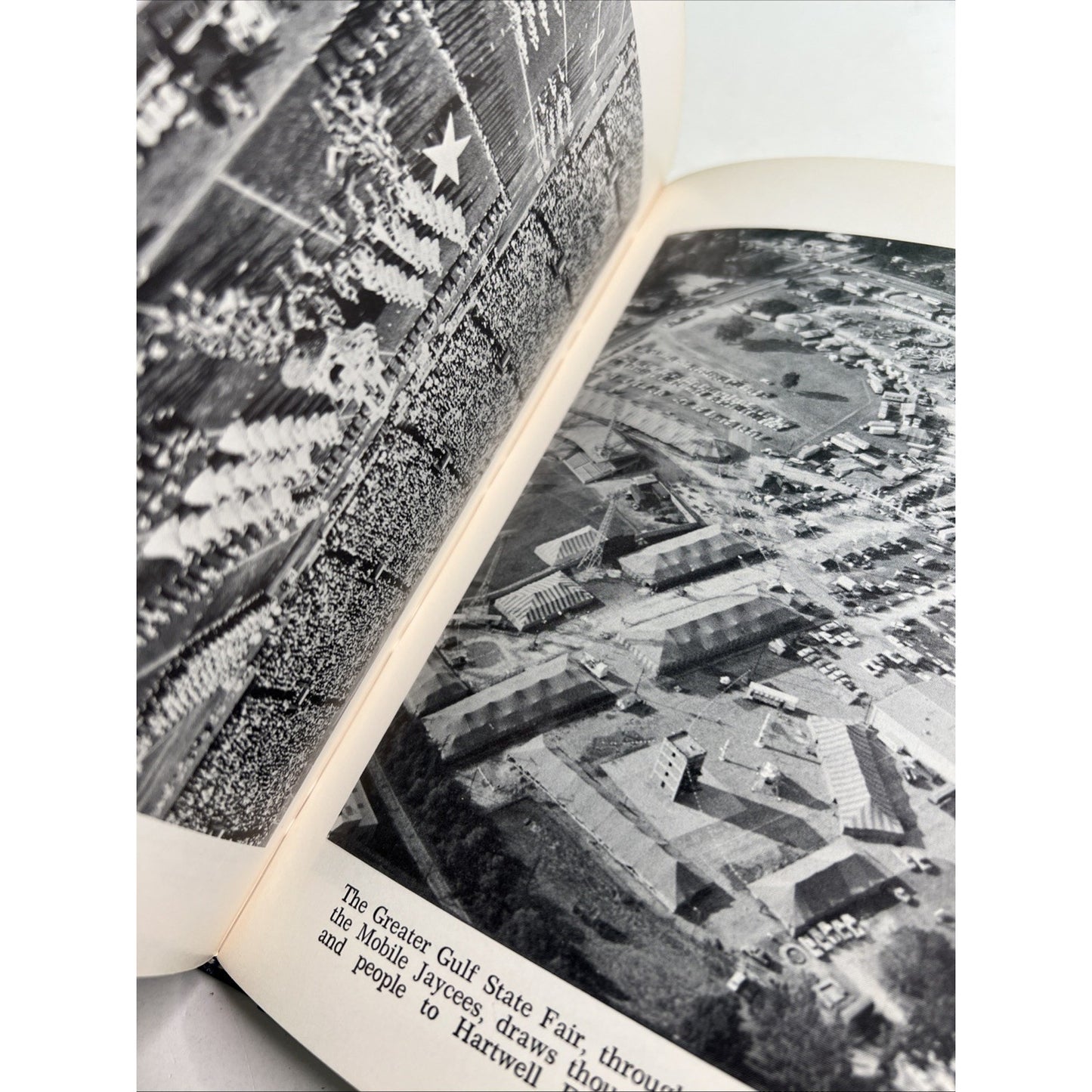 Jay Higginbotham MOBILE CITY BY THE BAY 1968 HC DJ Azalea City Printers AL 1stEd