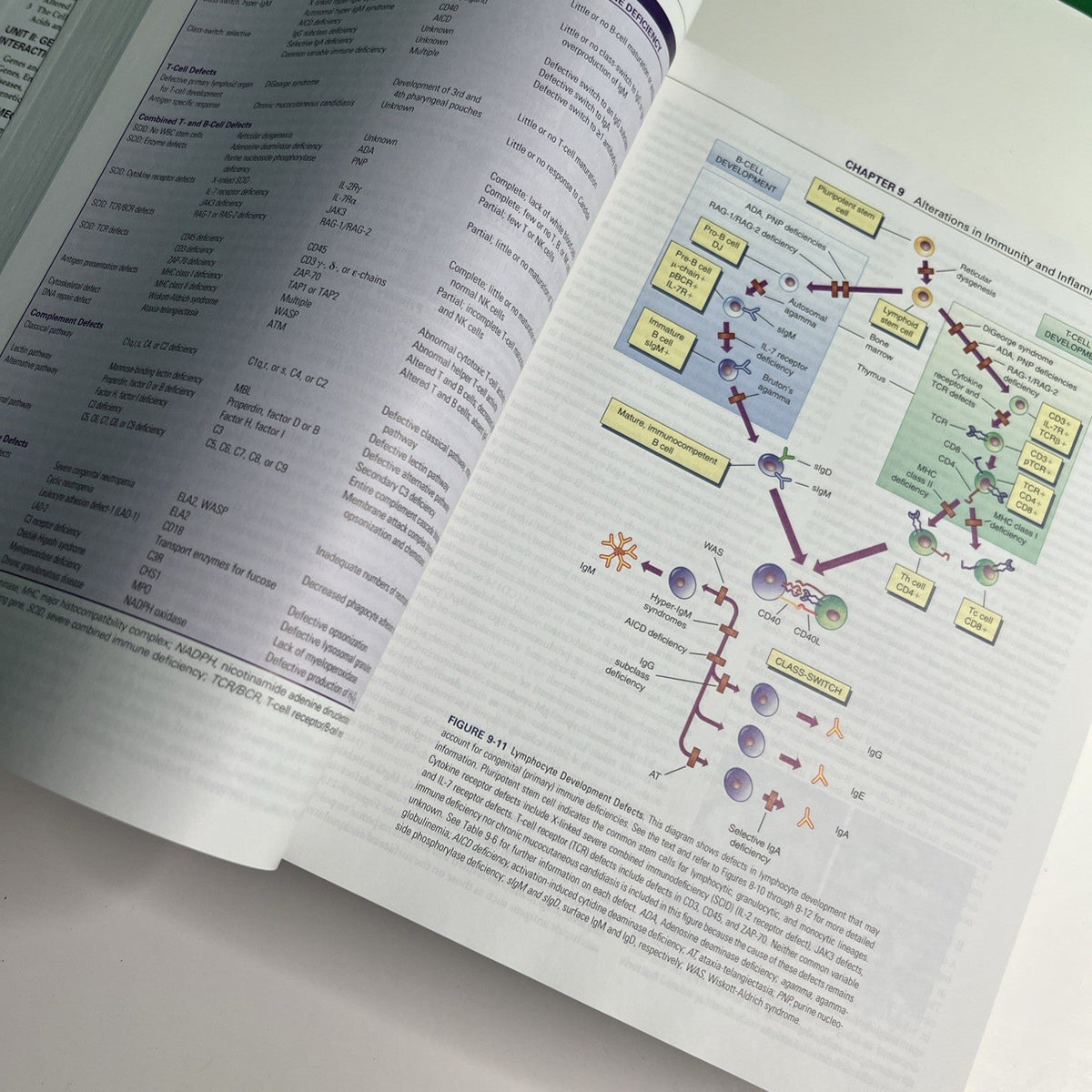 Pathophysiology : The Biologic Basis for Disease in Adults and Children 7th Ed