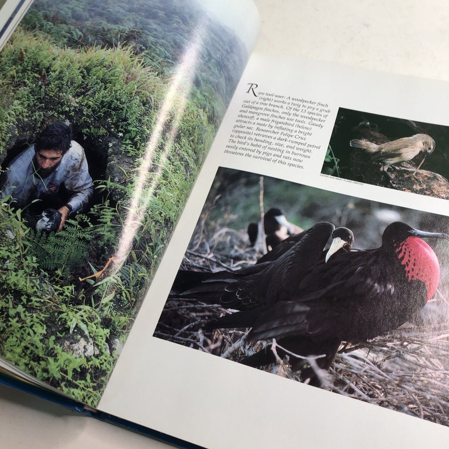National Geographic Society: Majestic Island Worlds HC DJ 1987