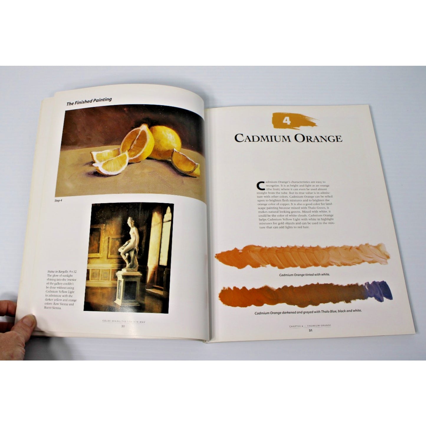 Color Mixing the Van Wyk Way: A Manual for Oil Painters- Helen Van Wyk, 2000 Art