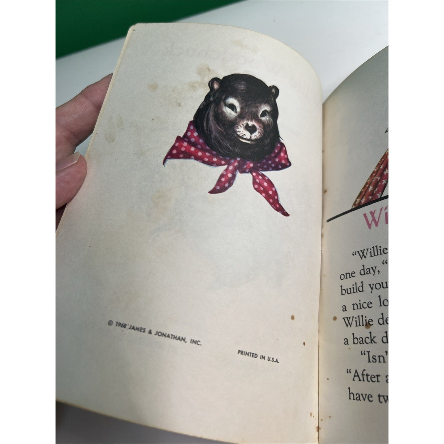 Willie Woodchuck Vintage 1968 Sunny Book by Marion E. Holt PB